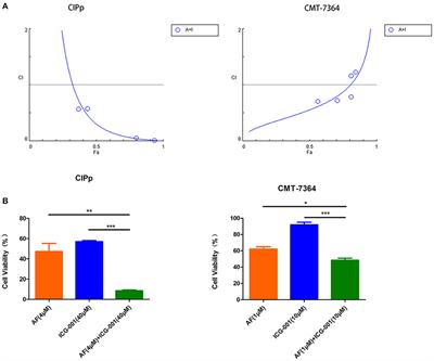 Auranofin and ICG-001 Emerge Synergistic Anti-tumor Effect on Canine Breast Cancer by Inducing Apoptosis via Mitochondrial Pathway